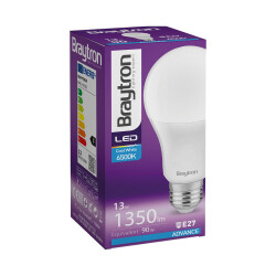 BRY-ADVANCE-13W-E27-A65-6500K-LED BULB - 3