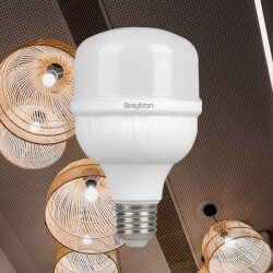 BRY-ADVANCE-18W-E27-T80-3000K-LED BULB - 2