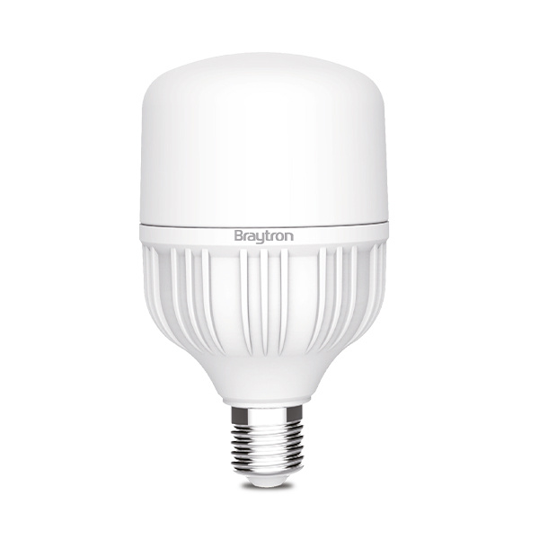 BRY-ADVANCE-20W-E27-T80-6500K-LED BULB - 1