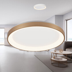 BRY-BELLA-SLS-SR-RND-GLD-36W-3IN1-IP20-CEILING LIG - 2