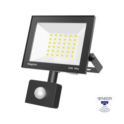 BRY-FLOOD-CF-30W-BLC-6500K-SNS-IP54-LED FLOODLIGHT - 1