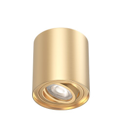 BRY-GAMA-8010-RND-GLD-GU10-SPOTLIGHT - 1