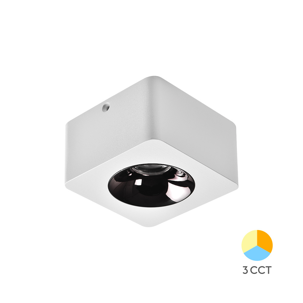 BRY-LINEX-SD10-1x10W-3IN1-WHT-LED DOWNLIGHT - 2