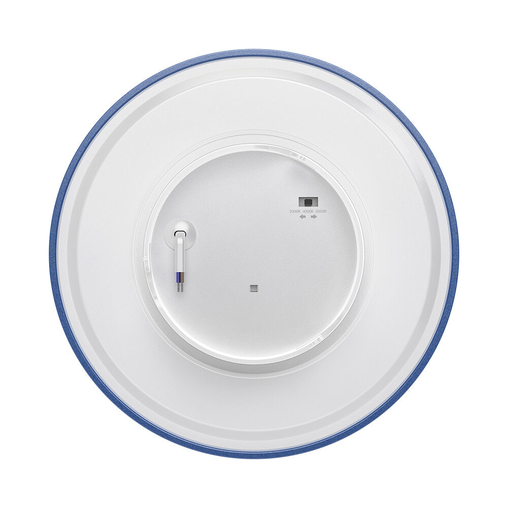 BRY-PALERMO-M-RND-BLUE-12W-3IN1-IP65-WALL LIGHT - 4