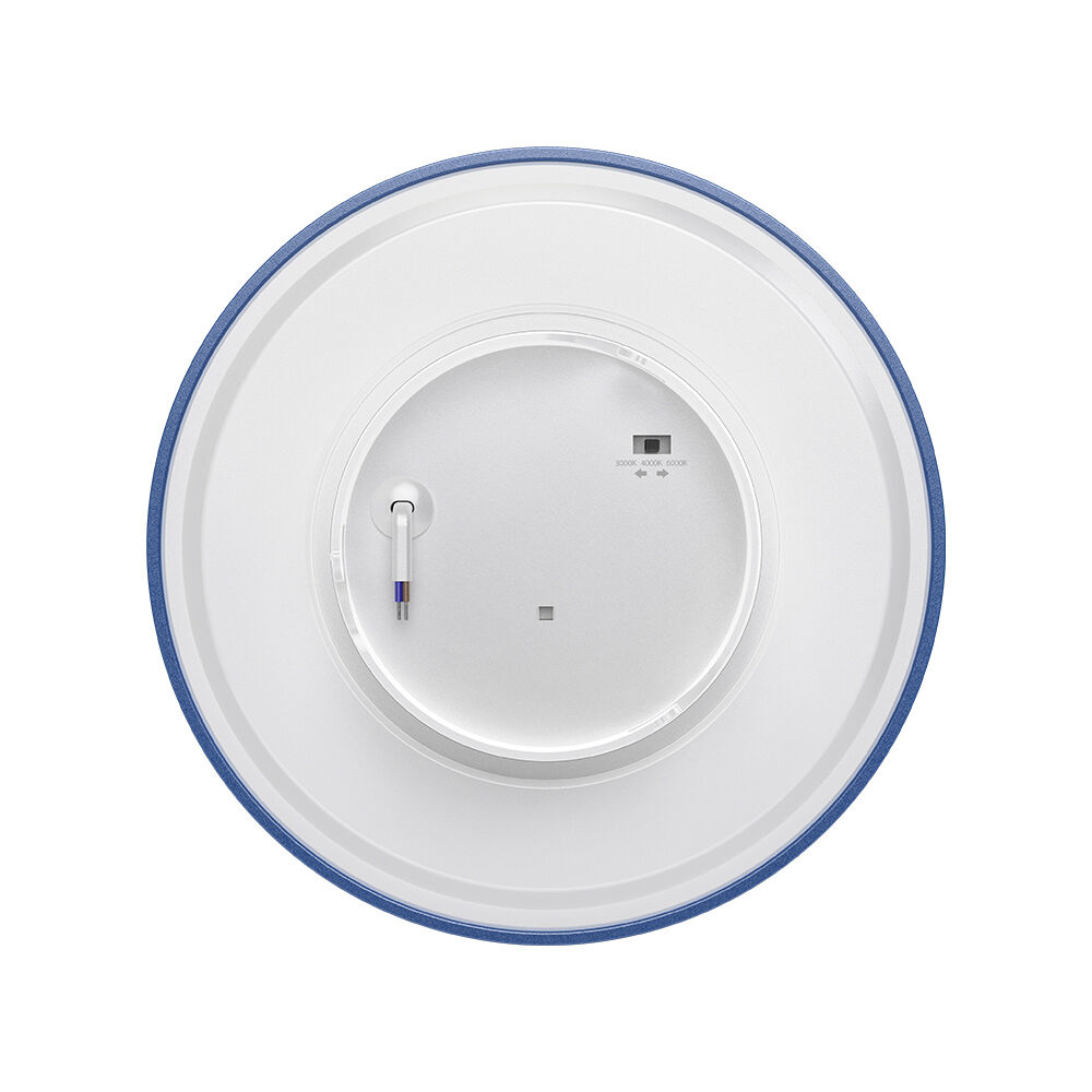 BRY-PALERMO-S-RND-BLUE-10W-3IN1-IP65-WALL LIGHT - 3