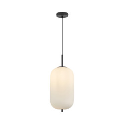 BRY-S011R-1H-1xE27-OPL-BLC-PENDANT LIGHT - 1