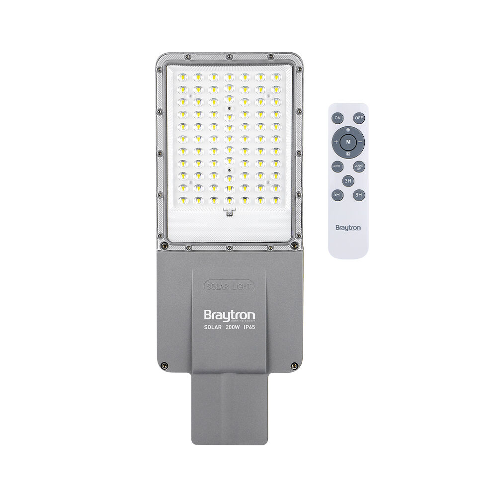 BRY-SOLAR-ST02-100W-6500K-SNS-IP65-SOLAR STREET LI - 3